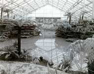Original Fern Room